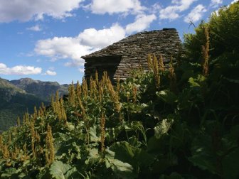 Alpe Biordo im Val Grande